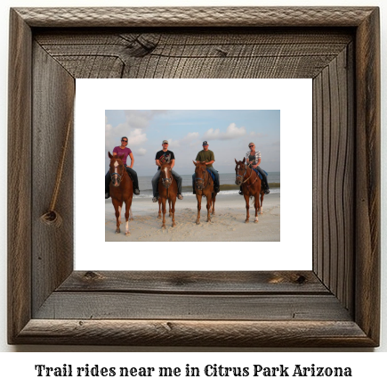 trail rides near me in Citrus Park, Arizona